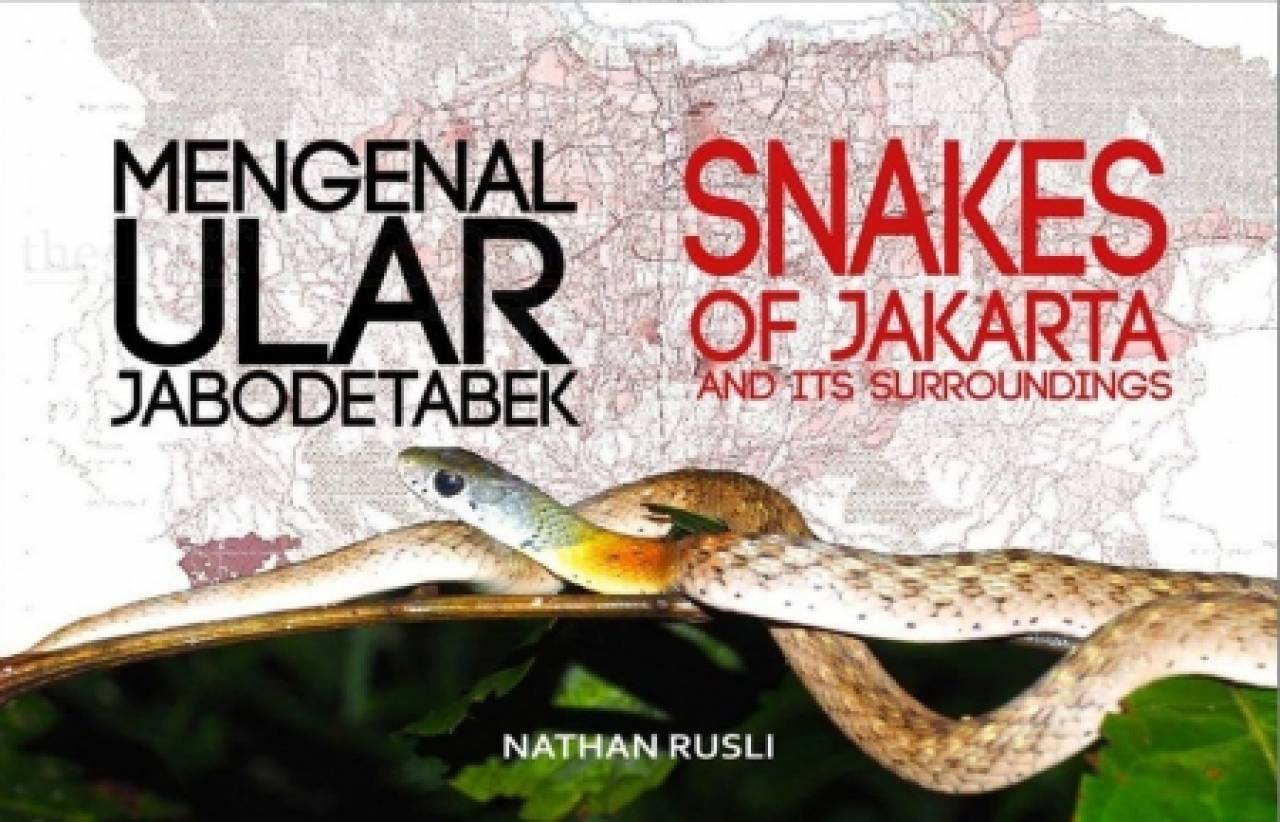 Snakes of Jakarta